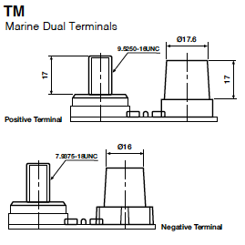 Terminal Type
